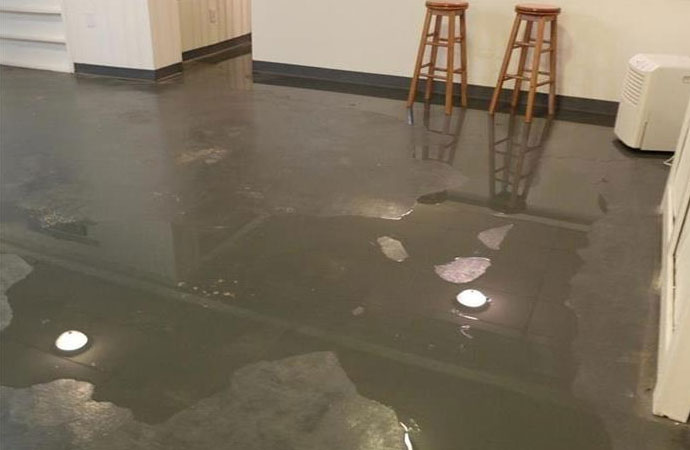 Restoration Specialists