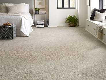 Residential Carpet Cleaning