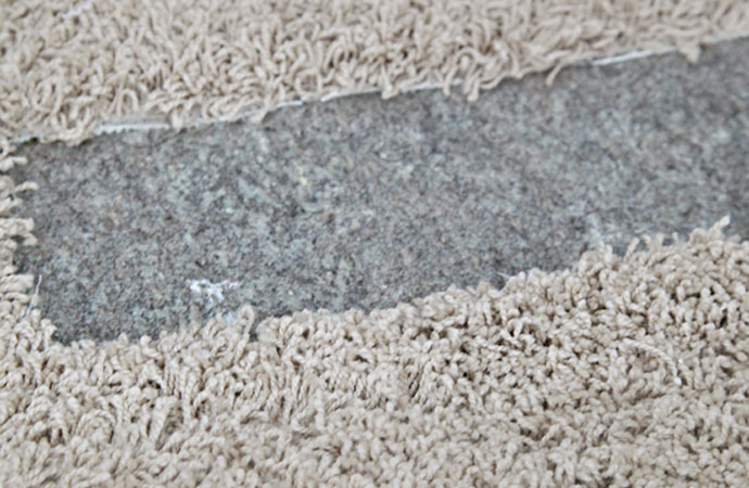 The Best Carpet Cleaning Services in West Friendship