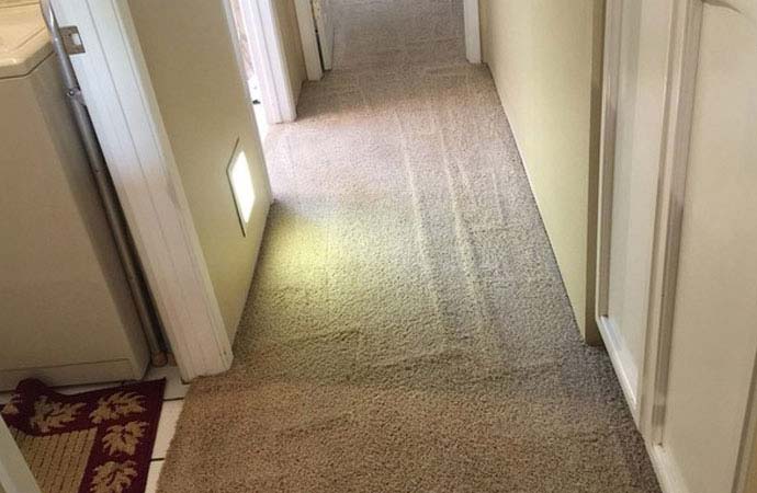 Carpet Cleaning Services