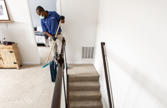 Why Do You Need Carpet Cleaning?