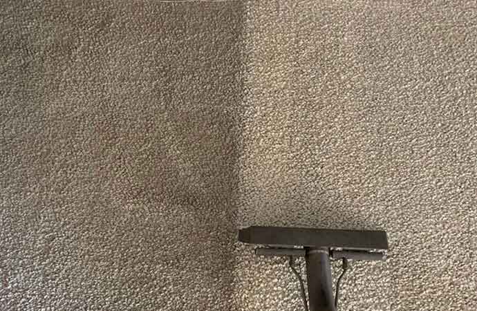 Why Do You Need Carpet Cleaning?