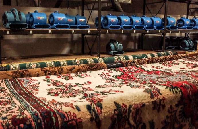 Why Do You Need Professional Carpet Cleaning?